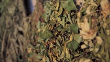 Turaida Malikânesi Sauna Müzesi 'nde Sauna Süpürgeleri ve Bitki Çayı. Sergi - Letonya hamam gelenekleri. Sergi Letonya Halkının Yaşamındaki Saunayı anlatıyor.