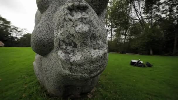 抽象的な石の彫刻と人間の体と顔 スカルプチャーガーデン デイヌヒル 1985年に創設されました それはラトビアのフォークロアに捧げられ 25の石彫刻を持っています — ストック動画
