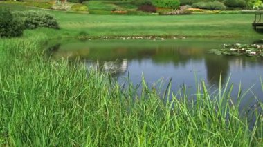 Çok güzel manikürlü bir bahçede gölet. İngiliz Bahçesi genellikle bir göl içerir, Ağaçların Ağaçları Karşısındaki Geniş Yuvarlanan Çimlerin Süpürgeleri.