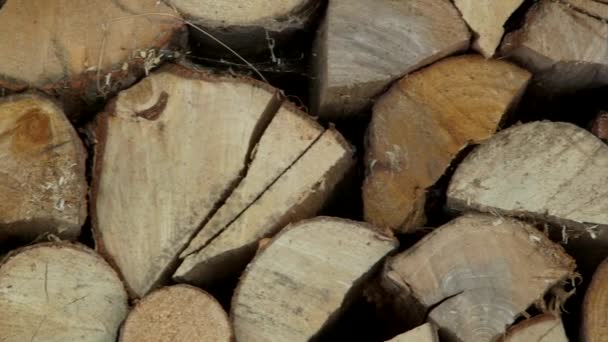 Sorgfältig Arrangierte Mauer Aus Feuerholz Brennholz Ist Eine Erneuerbare Ressource — Stockvideo