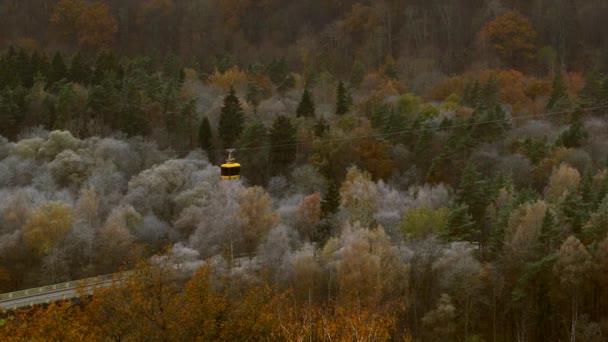 Aerial Tram Rides Forest Late Autumn Sigulda Aerial Tramway Tram — Stock Video