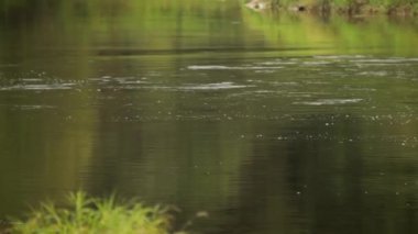 Sakin Akan Nehir Suyu. Yakın çekim. Sakin, Akan Sular Devamlılığın Etkisini Yaratıyor. Ben meditasyoncu ve doğanın gücünün bir teyidi..