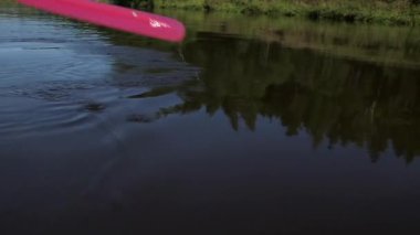 Kırmızı Kürek nehrin suyuna dalıyor. Kürek çekiyorum. Kürek Bıçağı. Oar, Su Borne itici gücü için kullanılan bir uygulamadır. Küreğin bir ucunda düz bir bıçak var. Kürekçiler Diğer Ucu Tutar.