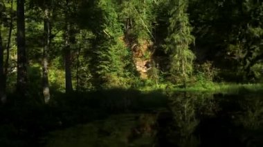 Küçük Nehir kıyısında küçük bir kaya çıkıntısı olan mistik orman manzarası. Letonya 'daki Kum Taşı Çıkıntıları Majesteleri ve Sınırsız Güç ile büyülenebiliyor..