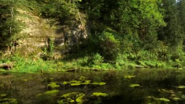 Küçük Nehir kıyısında küçük bir kaya çıkıntısı olan mistik orman manzarası. Letonya 'daki Kum Taşı Çıkıntıları Majesteleri ve Sınırsız Güç ile büyülenebiliyor..