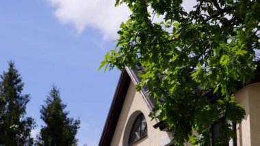 Binanın çatısında meşe yapraklarının arkasında üçgen bir pencere var. Eğer Özel Ev 'in çatı katında bir eylem gerçekleşirse, bu mekan belirleyici bir çekim olarak kullanılabilir..