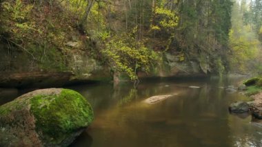 Shallow Forest River 'ın ortasındaki Büyük Kaya Dik Kıyıları. Manzara Ormanları ve Issız Doğa Gezisi İnsanlara Etkin Günlük Faaliyetlerden Dinlenme ve Enerji Veriyor.