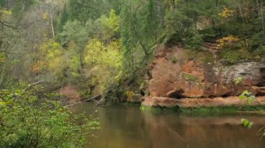River Bank 'teki Majestic Orange Kum Taşı Taşları Kalın Sonbahar Ormanı ile birlikte. Letonya 'daki Kum Taşı Çıkıntıları Majesteleri ve Sınırsız Güç ile büyülenebiliyor..