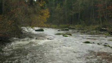 Sonbaharda 