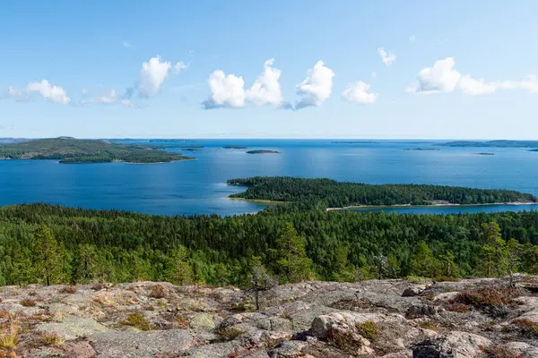 İsveç 'teki High Coast Ulusal Parkı' ndaki bir dağın manzarası. Yazın Skuleberget Ulusal Parkı.