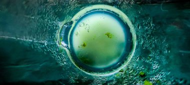 Merkezde parlak yeşil çember kavramı ve odağını kaybetmiş çiy damlaları. Tasarım için soyut arkaplan