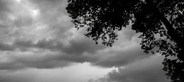 View of dramatic gray sky and silhouette a tree branch. Black clouds hanging in the sky are a sign of overcastity. Gray sky and white clouds before rain.