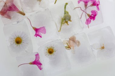 Beyaz arka planda buz küplerinde donmuş güzel çiçekler. Üst görünüm