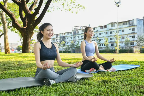 İki kadın parkta yoga minderlerinde oturmuş yoga yapıyorlar...