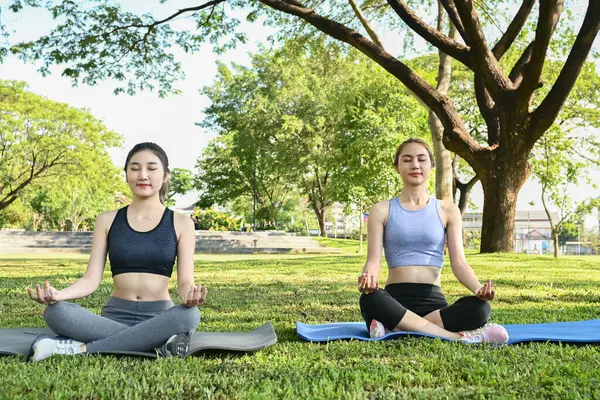 İki kadın parkta yoga minderlerinde oturmuş yoga yapıyorlar..