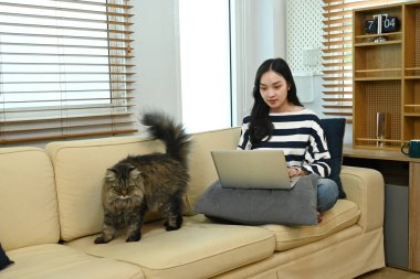 Kucağında kedisiyle kanepede oturan bir kadın. Dizüstü bilgisayar kullanıyor.