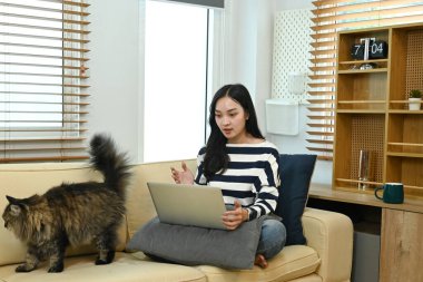 Evde dizüstü bilgisayarla çalışan bir kadın. Kanepenin yanında oturan sevimli kedi..