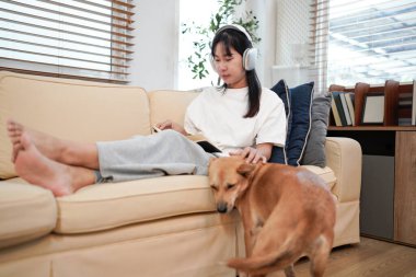Kadın huzurlu bir konforun keyfini çıkarıyor, rahat bir oturma odasında pencerenin kenarında kitap okuyor, köpeği yanında huzur içinde dinleniyor...