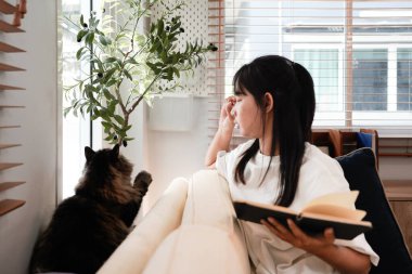 Evde pencere yakınında sevimli kedi okuma kitabı ile güzel kadın.