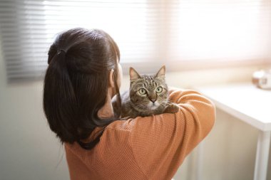 Evdeki oturma odasında sevimli kedilere sarılan nazik Asyalı genç bir kadın.,.