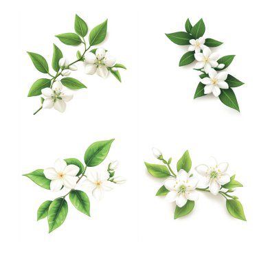 This image set displays four vibrant, digitally illustrated sprigs of blooming white flowers and lush green leaves arranged in the corners of a white background. clipart