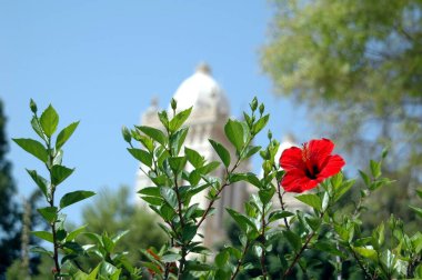 Tunus, Kartaca, tarihi bir şehir.