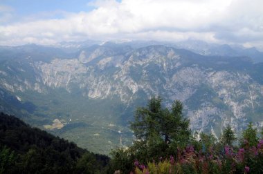 Vogel Slovenya Julian Aply