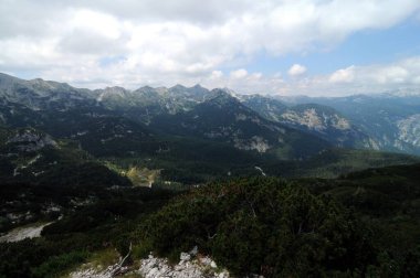 Vogel Slovenya Julian Aply