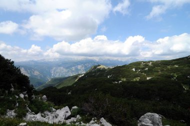 Vogel Slovenya Julian Aply