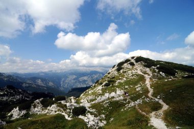 Vogel Slovenya Julian Aply