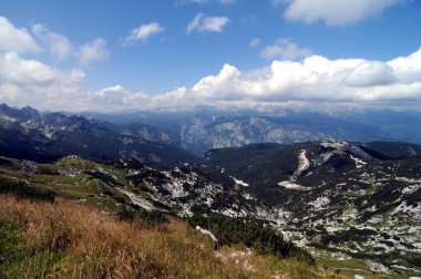 Vogel Slovenya Julian Aply