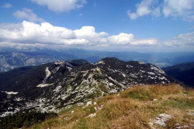 Vogel Slovenya Julian Aply