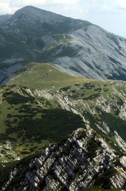 Vogel Slovenya Julian Aply