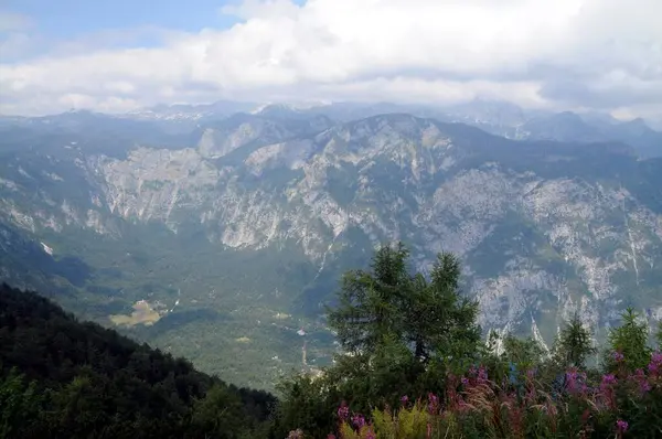 Vogel Slovenya Julian Aply