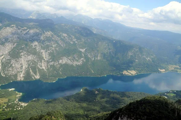 Vogel Slovenya Julian Aply