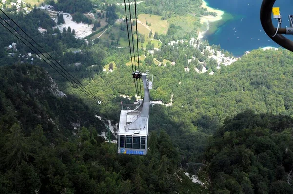 Vogel Slovenya Julian Aply