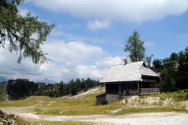 Vogel Slovenya Julian Aply