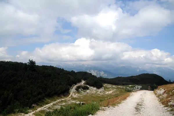 Vogel Slovenya Julian Aply