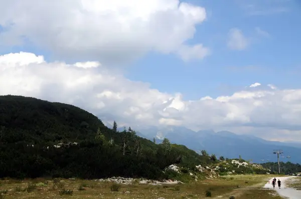 Vogel Slovenya Julian Aply