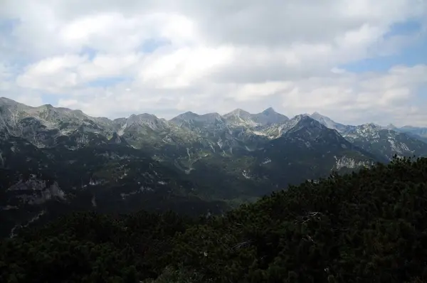 Vogel Slovenya Julian Aply