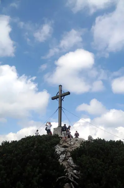 Vogel Slovenya Julian Aply