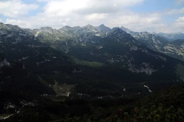 Vogel Slovenya Julian Aply