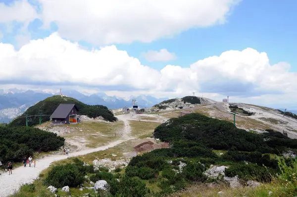 Vogel Slovenya Julian Aply