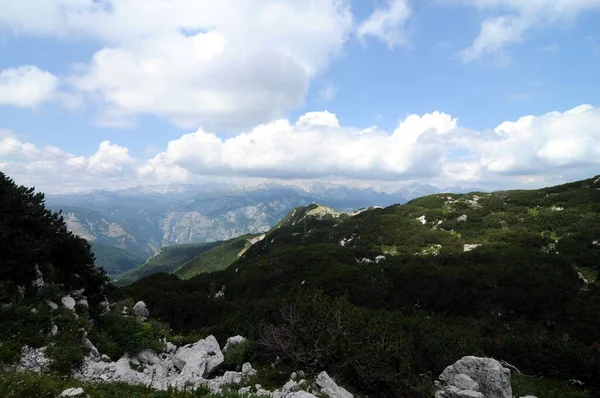 Vogel Slovenya Julian Aply