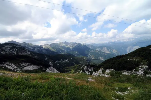 Vogel Slovenya Julian Aply