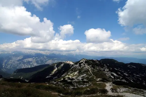 Vogel Slovenya Julian Aply