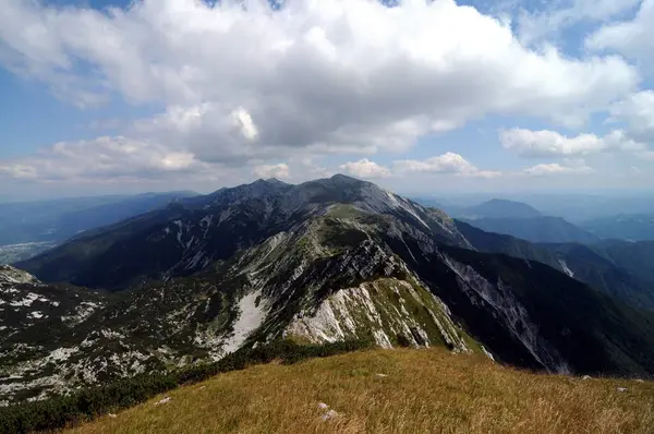 Vogel Slovenya Julian Aply