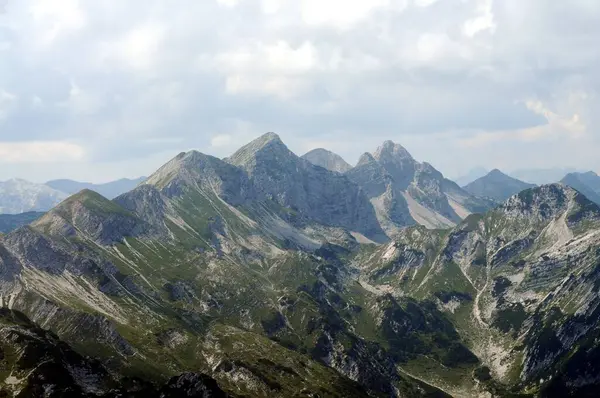 Vogel Slovenya Julian Aply