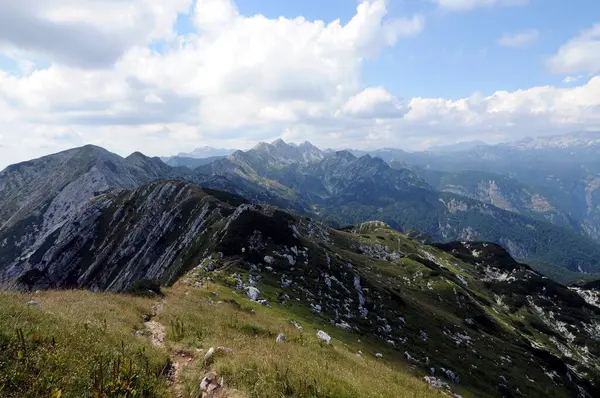 Vogel Slovenya Julian Aply