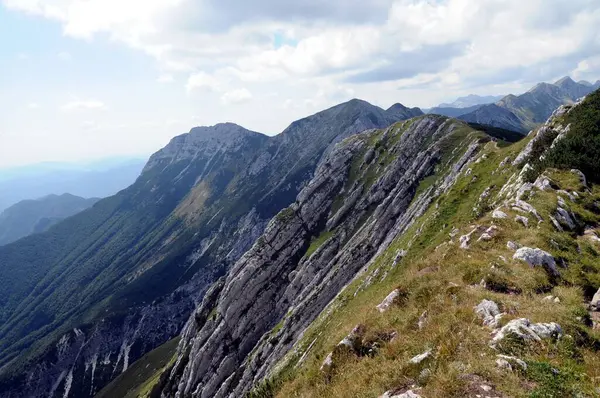 Vogel Slovenya Julian Aply